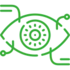 eye icon