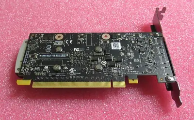 nvidia Quadro P-1000 gpu server